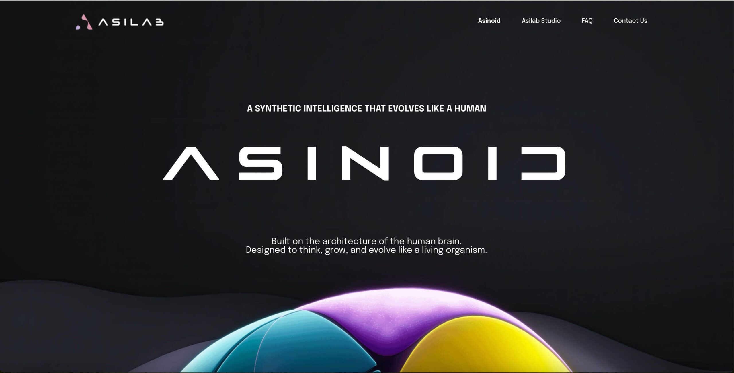 Asilab A dark webpage displays the ASINOID logo, with the tagline "A synthetic intelligence that evolves like a human." Below, it reads, "Built on the architecture of the human brain. Designed to think, grow, and evolve like a living organism.